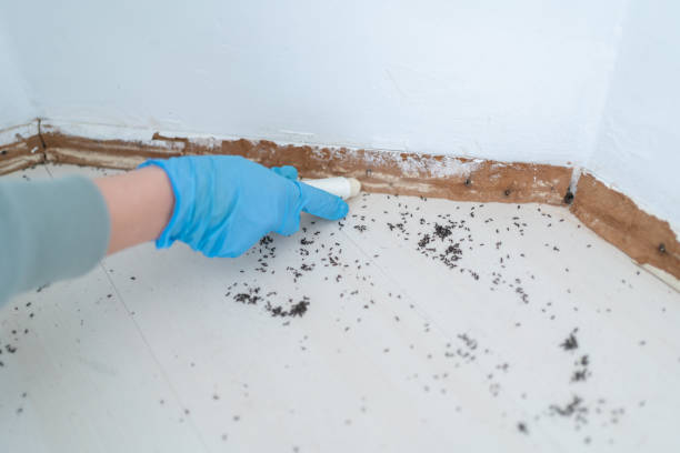 Best Commercial Pest Control Services  in Fort Gibson, OK